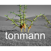 (c) Tonmann.com